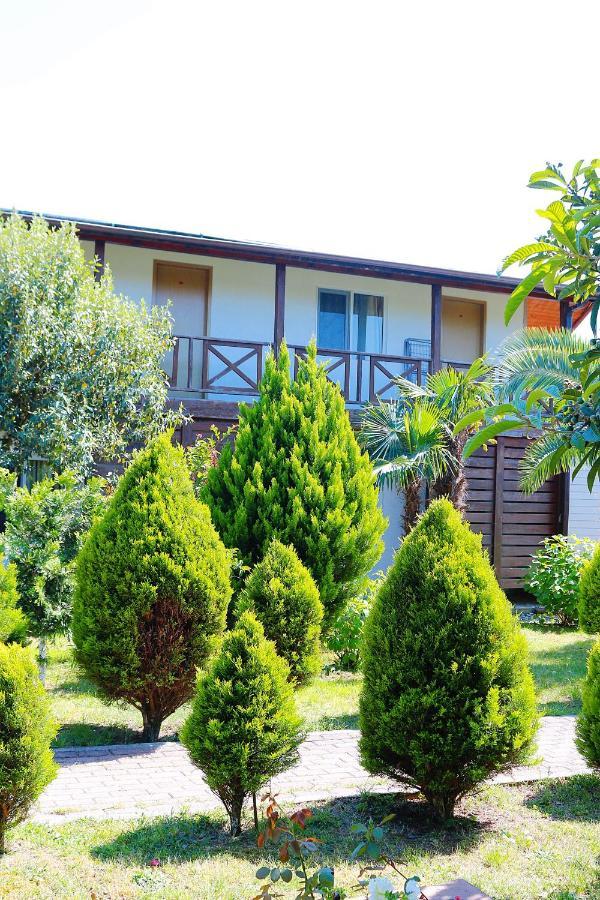 Guest House Alashara Pizunda Exterior photo